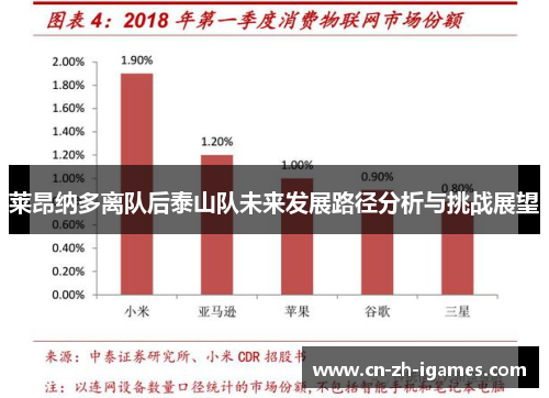 莱昂纳多离队后泰山队未来发展路径分析与挑战展望