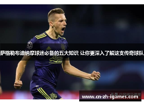 萨格勒布迪纳摩球迷必备的五大知识 让你更深入了解这支传奇球队