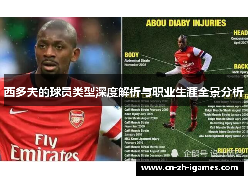 西多夫的球员类型深度解析与职业生涯全景分析
