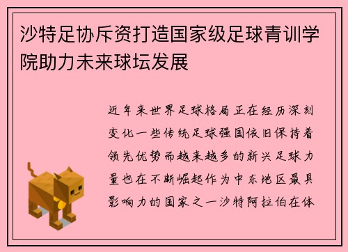 沙特足协斥资打造国家级足球青训学院助力未来球坛发展